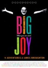 Big Joy The Adventures of James Broughton (2013).jpg